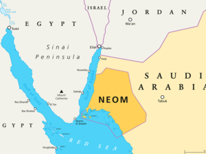Saudi NEOM Inks 4-Year Global Partnership with AFC