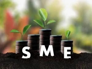 Oman: SME Registrations Soar 14.4 Percent in 12 Months