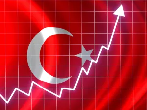 Turkey: Foreign Currency Demand Soars Amid Lira's Freefall