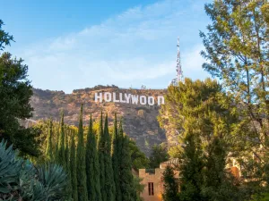 Hollywood’s Small Businesses in Crisis Due to COVID-19 