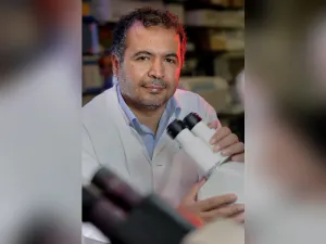 WCM-Q Researchers Investigate Key Protein That Helps Explain How Obesity Leads to Type-2 Diabetes