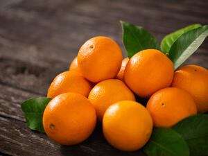 Egypt Exports First-Ever Shipment of Orange to Japan