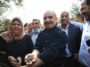 رئيس الوزراء الفلسطيني محمد اشتية خلال مشاركته في قطاف الزيتون في محافظة سلفيت