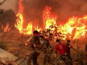 الجزائر: الحرائق تتجدد في تيزي وزو وتتواصل في 11 ولاية