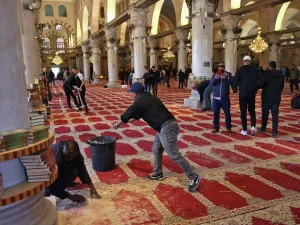 ارشيف
