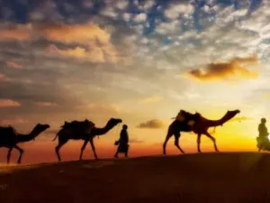 ارشيف