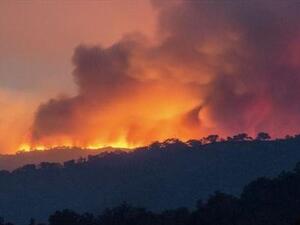 الجزائر: أياد إجرامية حاقدة وراء الحرائق في البلاد