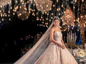 نائب سابق عن حزب الله يعتذر للبنانيين عن حفل زفاف ابنته "الاسطوري"