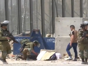 "وحشية متعمدة".. الأزهر يدين قتل اسرائيل للفلسطينية غادة سباتين