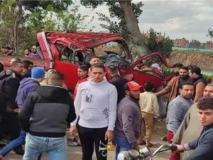 شجرة معمرة تقتل وتصيب 14 شخصا في مصر