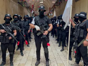 عرين الأسود