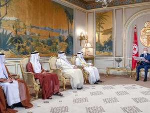 قيس سعيد خلال استقباله انور قرقاش في قصر قرطاج