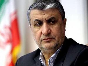 رئيس منظمة الطاقة الذرية الإيرانية محمد إسلامي