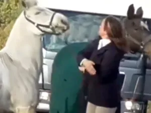 معلمة بريطانية تركل وتصفع حصانا بلا رحمة (فيديو)