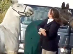 معلمة بريطانية تركل وتصفع حصانا بلا رحمة (فيديو)