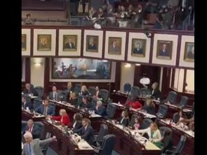 متحولون جنسيا يمطرون مشرعين اميركيين بملابسهم الداخلية 