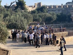 مئات المستوطنين يقتحمون الأقصى عشية يوم "الغفران" اليهودي