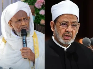 مفتي إثيوبيا يهاجم شيخ الأزهر ويتهمه بجهل حقيقة سد النهضة