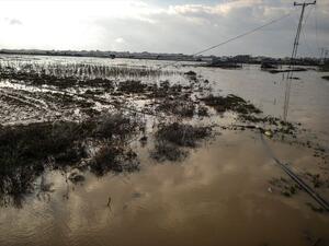 إسرائيل تُغرق أراضي زراعية شرقي غزة