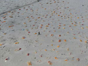 من الجو: قبور على مد البصر لضحايا كورونا في الهند