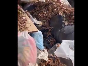 رابع طفل لقيط يعثر عليه في الكويت منذ بداية رمضان