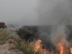 ستة قتلى في هجوم لداعش شمالي العراق