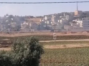 ارشيف
