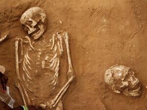 الاستنتاج جرى التوصل إليه من الفحص الجيني لهياكل عظمية عُثر عليها في إسرائيل عام 2016