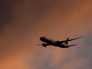 ارشيف
