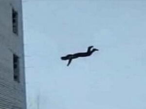 سوري ينتحر بإلقاء نفسه من الطابق الرابع لمستشفى بعد إصابته بكورونا