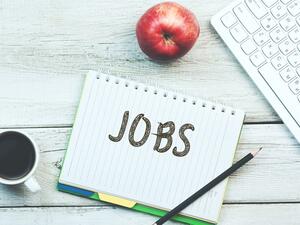 If you are looking for opportunities across sales, technical expertise, operations, business and management, this job could be yours.