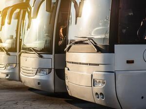 All buses will have one color, a logo, the name of the entity, speed limit sticker and contact information of the entity to report complaints