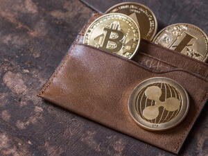 The project, launched last year, has been met with caution by banks. 