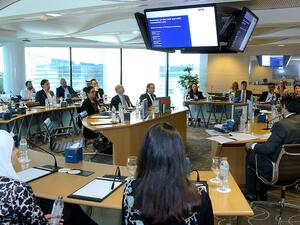 خلال ورشة العمل