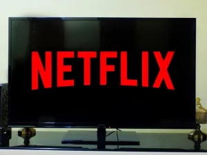Netflix Stocks Plummet Despite Subscribers Growth