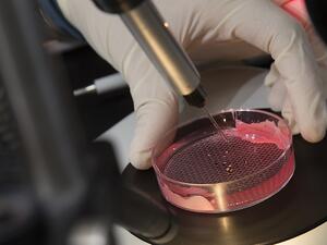 طلاب قطريون يكتسبون مهارات بحثية