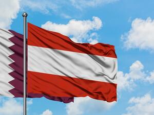 There are 42 Qatari-Austrian companies working in various sectors