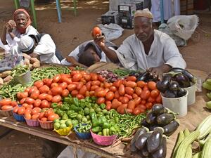 Sudan’s GDP in 2019 is expected to grow by 3.1 percent in line with the forecasts of equal economic growth in sub-Saharan Africa.