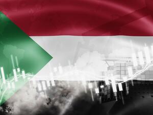 Sudan's government will work to tackle the crisis through short-term and long-term programmes.