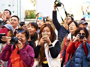 The city continues to welcome an increased number of Chinese visitors with positive 12 per cent year-on-year growth