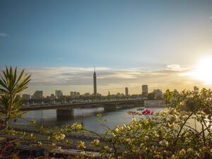 Spring in Cairo (Twitter)
