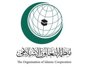 سوف تبحث القمة كذلك قضايا اليمن واستقراره ووحدته سياسيا واقتصاديا وإطلاق الحوثي صواريخ  باتجاه أراضي العربية السعودية 