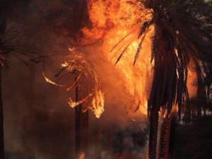 تلميحات بان الحرائق مفتعلة وتشتعل للعام الثالث على التوالي