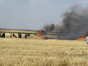 ولفت فيرهوسيل إلى أن المزارعين لا يستطيعون الاهتمام بأراضيهم ومحاصيلهم طوال موسم الحصاد.