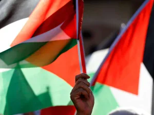 194 منظمة حقوقية تطالب بطرد إسرائيل من الأمم المتحدة