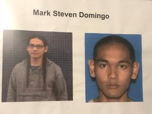 مارك ستيفن دومينغو 