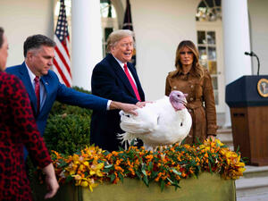 البيت الأبيض