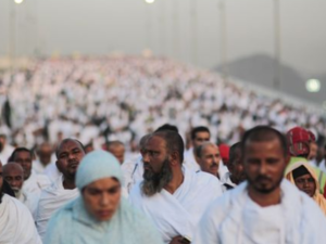 موسم الحج موسم الحج