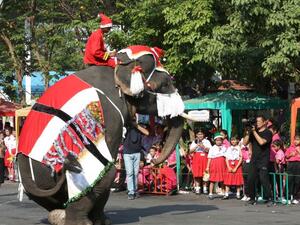 حتى الأفيال تعلب دور "سانتا كلوز" وتوزع الهدايا على الأطفال