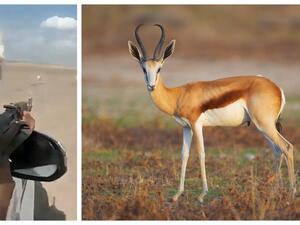 صيد الظباء بـ"كلاشنكوف" يثير غضبًا في السعودية